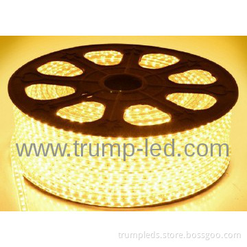 Waterproof 220v 5050 led strip high voltage